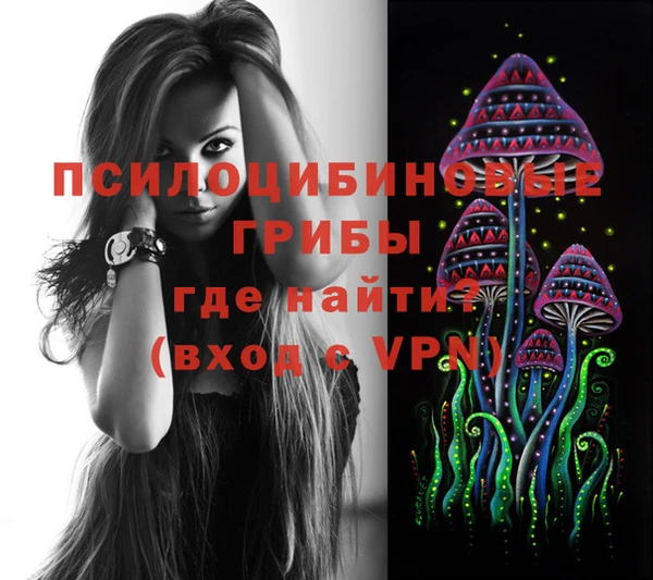 спайс Белокуриха