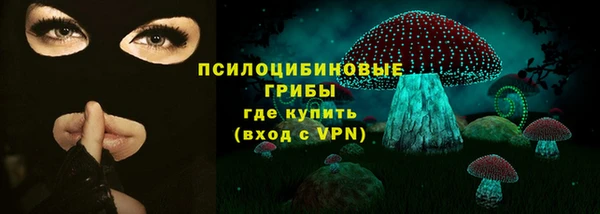 дживик Балахна