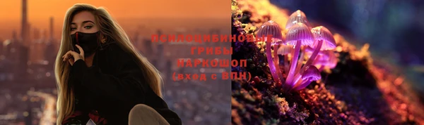 спайс Белокуриха