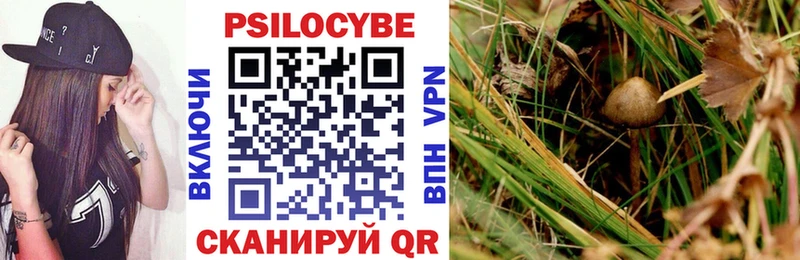 OMG ССЫЛКА  Вятские Поляны  Псилоцибиновые грибы MAGIC MUSHROOMS 